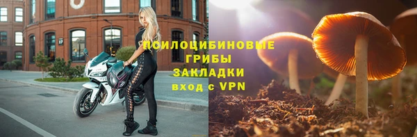 стаф Нефтекумск
