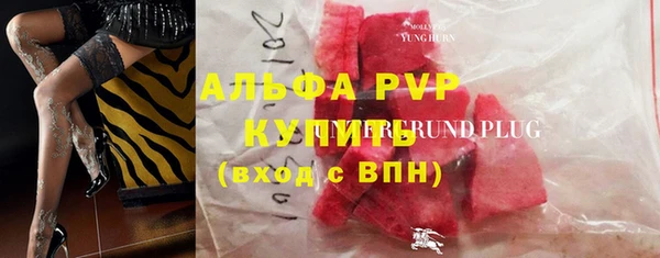 стаф Нефтекумск