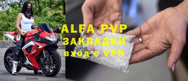 стаф Нефтекумск