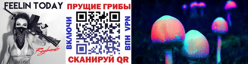 Купить  Кедровый  Галлюциногенные грибы Magic Shrooms 