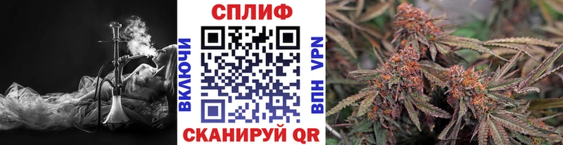 Купить закладки  Кедровый  Бошки марихуана конопля 